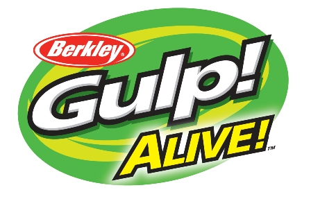 GULP ALIVE